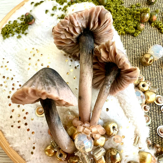 Três Polegadas de Magia Miceliana